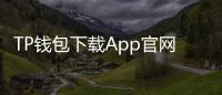 TP钱包下载App官网正版：官方渠道安全入场，轻松掌控数字资产