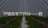 TP钱包官方网站——数字资产安全管理的必备工具