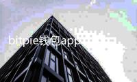 bitpie钱包app官方下载：多链资产管理新体验