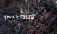 tpwallet钱包官网下载：开启你的数字资产安全管理新纪元