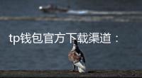 tp钱包官方下载渠道：放心下载，安心使用的全流程指南
